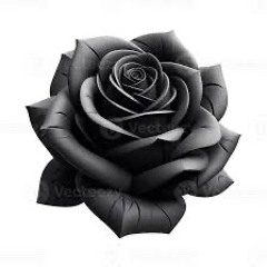 Eu fui tao ruim assim? (eu sei que nao)