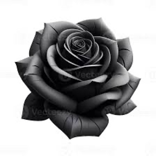 Eu fui tao ruim assim? (eu sei que nao)