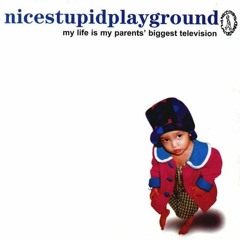 Nicestupidplayground - Stereo Girl