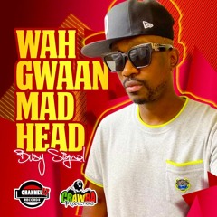 Busy Signal - Wah Gwaan Mad Head (Raw)