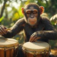 BONGO DRUM