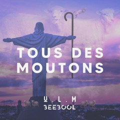 TOUS DES MOUTONS x BEEBOOL