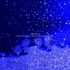 Medoject - Insert (Alex Alex Experimental Rainy Mix)