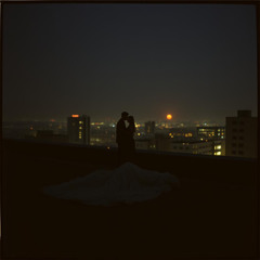 Till the Sun Finds Us