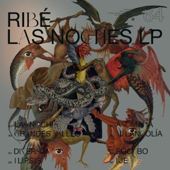 Preview - Ribé - Las Noches LP - PoleGroup 064