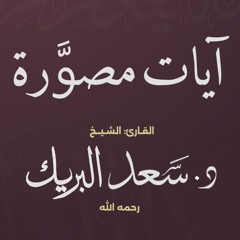 يوم نطوي السماء
