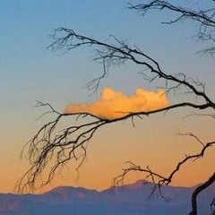 Cloudy! (prod. vectr)