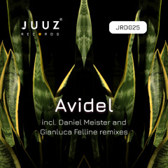 Avidel - Take you higher (Daniel Meister Remix)