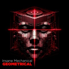 Insane Mechanical - Geometrical (Original Mix)