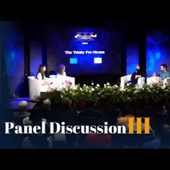 Panel Discussion III