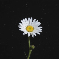 отойди (go away)