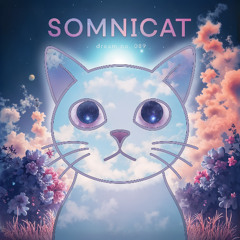 ∞ the sound of cornflower