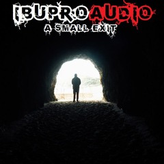 Apocalyptic & Infected Times Audio Music Pack - A Small Exit Demo