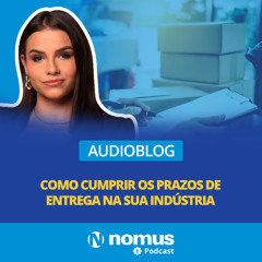 Audioblog #30 -  Como cumprir os prazos de entrega na sua indústria?
