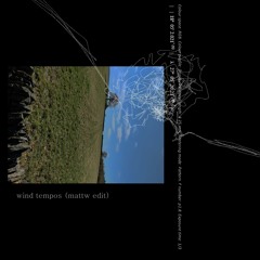 porter robinson - wind tempos (garage edit)