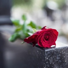 To Mary Jo
