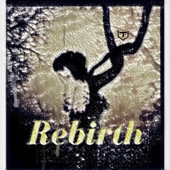 Rebirth