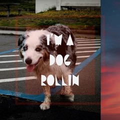 I'm A Dog Rollin