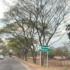 andaré ft. Diego (cover)