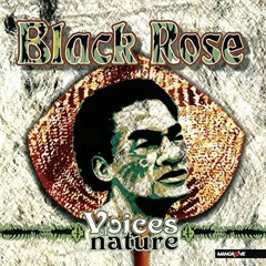 Kele Mai Levuka - Black Rose