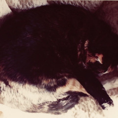 As We Agreed   written by Brian Redden   (AI Cover)