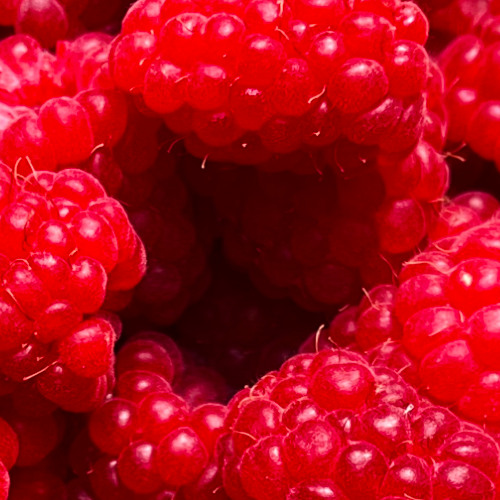 TAN ROJO