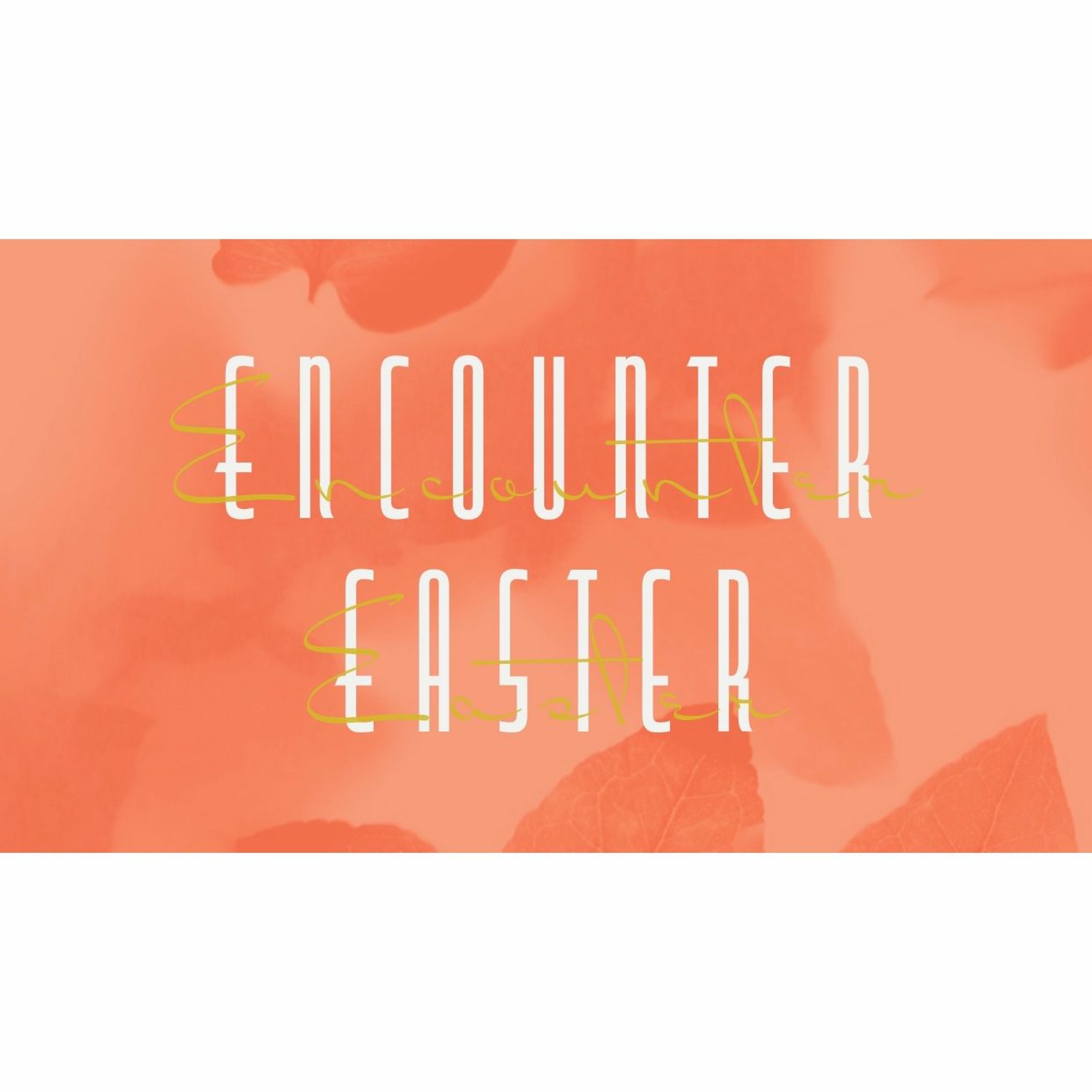 Encounter Easter - The Lord's Good Plan episode artwork