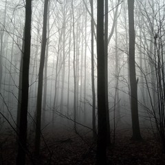 will o' wisp