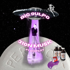 310N MUSK (feat. ch1tkey)