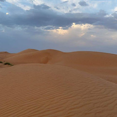 The Desert Waterway