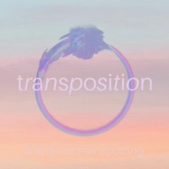 Internet Public Radio residency S02 E07 Guest - Transposition