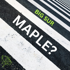 maple?