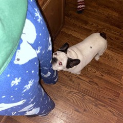 !me&u¡(prod. miller)