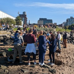 Restoring New York Harbor with a billion oysters