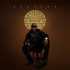 Lalela (feat. Mzizi)