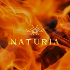 meditacao fogo Naturiamp3