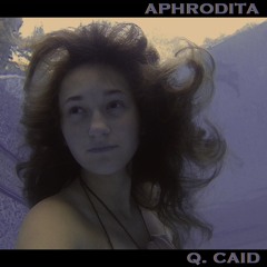 Aphrodita