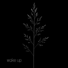 Wake Up