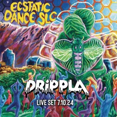 DRIPPLA Live @ SLC Ecstatic Dance 7.10.24 M