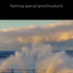Nothing Special (prod. Heydium)