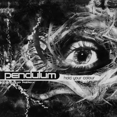 Pendulum - Hold Your Colour (DJ D4V1D Remix)