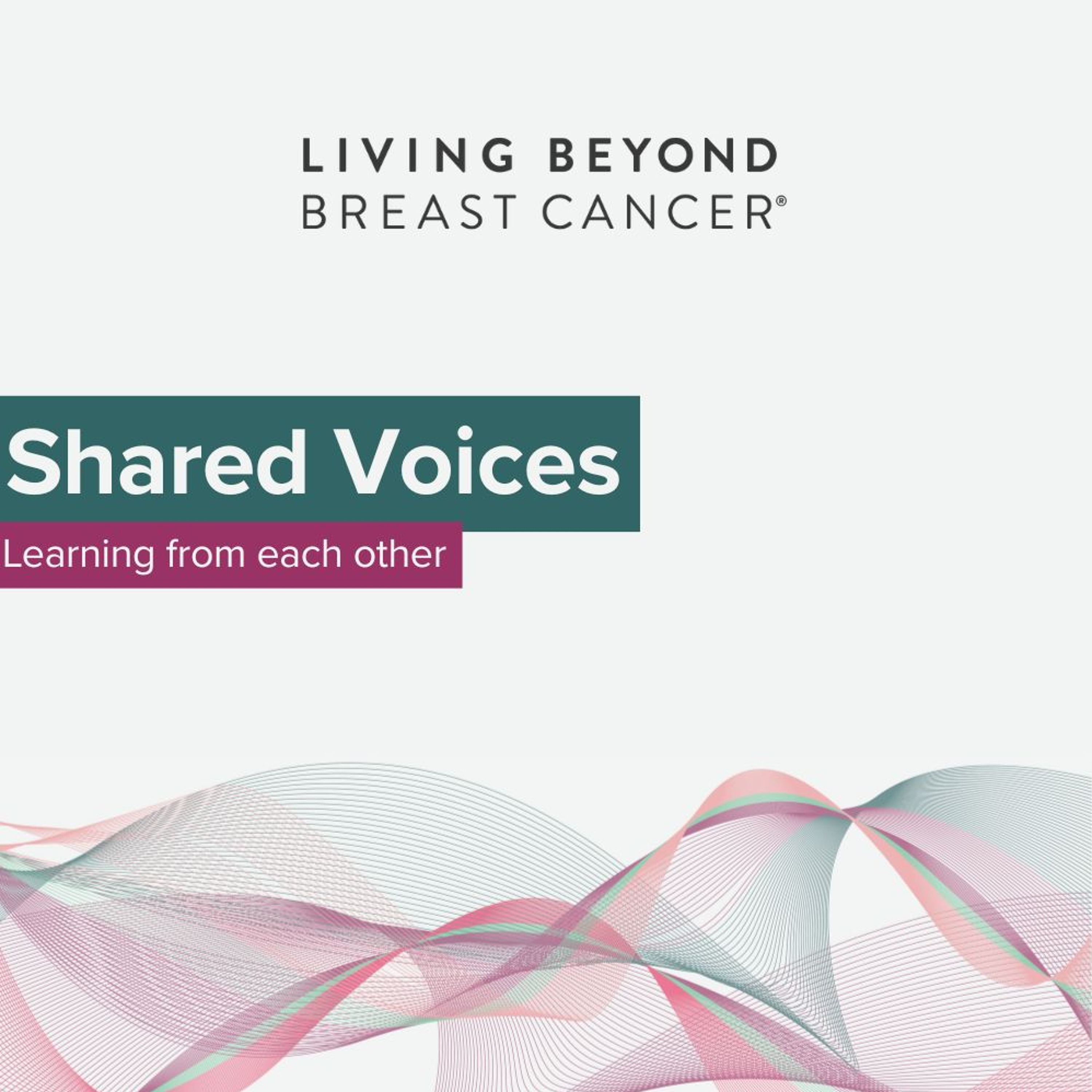 Shared Voices: Learning from each other episode artwork