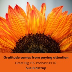 Gratitude comes from paying attention
