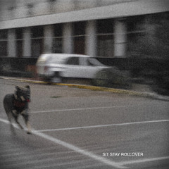 Sit, Stay, Rollover.