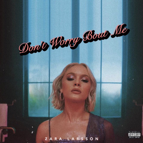Stream Zara Larsson - Don't Worry Bout Me (ØGM & LNGN Remix) by ØGM |  Listen online for free on SoundCloud