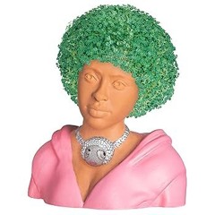 Chia pet freestyle