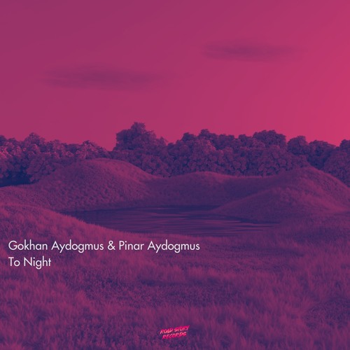 Gokhan Aydogmus, Pinar Aydogmus - To Night