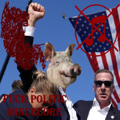 FUCK POLITIC MINCECORE