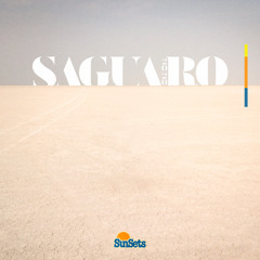 SunSets #5 (Saguaro Mix 2020)
