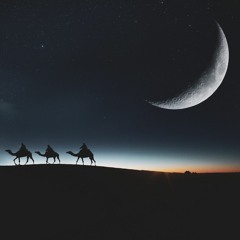 Desert Moon